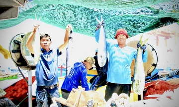 Nhịp mưu sinh rộn ràng ở cảng cá lớn nhất Gia Lai