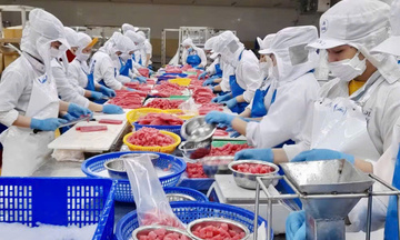 Kinh tế tư nhân bứt phá, Gia Lai phấn đấu thành lập 7.000 doanh nghiệp mới