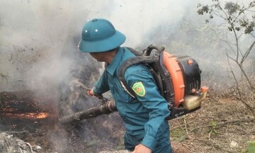 Nghệ An tăng cường cảnh báo cháy rừng trong mùa nắng nóng