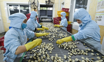 Ngành Nông nghiệp và Môi trường tăng tốc để giữ đà tăng trưởng