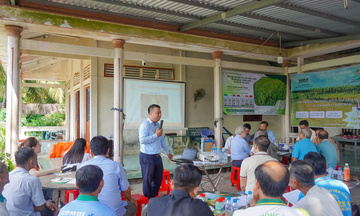 Mô hình lúa giảm phát thải tại Hợp tác xã Tấn Đạt cho hiệu quả cao