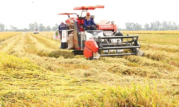 Nghị quyết 85/NQ-CP: Mở 'đòn bẩy' chính sách, đưa nông nghiệp vào Top 15 thế giới