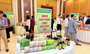 Quảng Trị tăng tốc xúc tiến thương mại, mở rộng thị trường