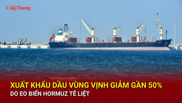 Xuất khẩu dầu Vùng Vịnh giảm gần 50%