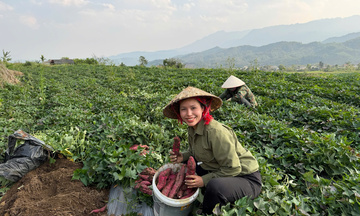 Cô gái Hà Nội kể câu chuyện sản phẩm của bản làng qua TikTok Shop