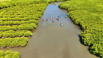 Quảng Ngãi: Đánh thức tiềm năng du lịch sinh thái Bàu Cá Cái