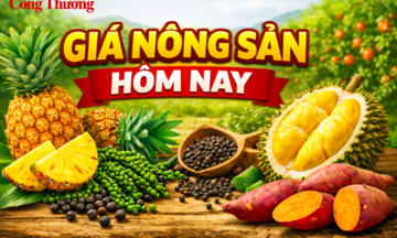 Giá nông sản hôm nay 7/4/2026: Sầu riêng Thái tăng trở lại; dứa trái vụ vào mùa