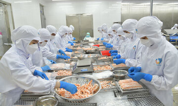 Dự báo xuất khẩu thủy sản quý II: Động lực từ thị trường Trung Quốc