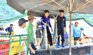 Chuẩn hóa sản xuất, Gia Lai hướng mục tiêu xuất khẩu 3,05 tỷ USD