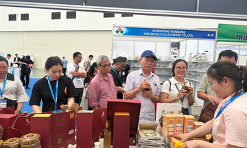Hà Tĩnh: Tiềm năng đặc sản và cơ hội đầu tư tại Vietnam Expo 2026
