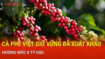 Cà phê Việt giữ vững đà xuất khẩu, hướng mốc 8 tỷ USD