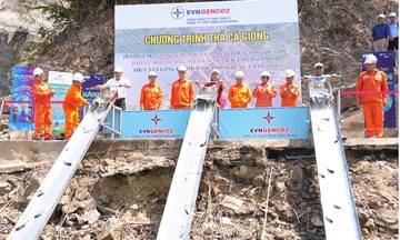 Đà Nẵng: Tạo sinh kế bền vững cho người dân lưu vực hồ thủy điện