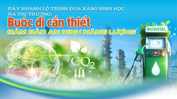 Đẩy nhanh lộ trình đưa xăng sinh học ra thị trường: Bước đi cần thiết đảm bảo an ninh năng lượng