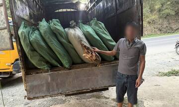 Cao Bằng: Thu giữ hơn 5 tấn nguyên liệu thuốc lá không rõ nguồn gốc