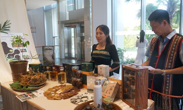Đà Nẵng: Xúc tiến thương mại sâm Ngọc Linh gắn với du lịch
