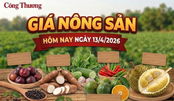 Giá nông sản hôm nay 13/4: Hàng loạt các mặt hàng tăng giá