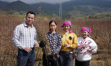 Bài học xây dựng mô hình 'xã thương mại điện tử' nhìn từ Lai Châu