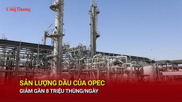 Sản lượng dầu của OPEC giảm gần 8 triệu thùng/ngày