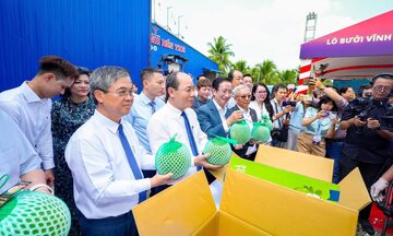 Lô bưởi đầu tiên sang Australia, gia tăng dư địa xuất khẩu rau quả