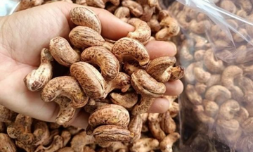 Việt Nam duy trì vị thế nguồn cung hạt điều lớn nhất cho Hoa Kỳ