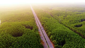 Vịnh Ngọc  - Tâm điểm sống xanh bên cung chạy độc bản