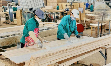 Ngành gỗ Gia Lai: Vượt thách thức, tăng trưởng ấn tượng