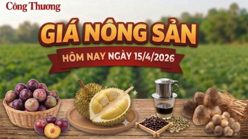Giá nông sản hôm nay 15/4/2026: Các mặt hàng có xu hướng tăng