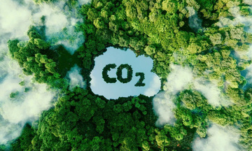 Các yếu tố đảm bảo vận hành sàn giao dịch tín chỉ carbon hiệu quả?