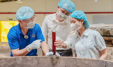 Xây dựng chuỗi thực phẩm sạch, nâng tầm nông sản Việt 