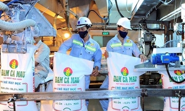 3 nhóm ngành tăng trưởng mạnh trong Quý I/2026