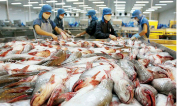 Giữ ổn định xuất khẩu sang Hoa Kỳ: 6 giải pháp trọng tâm