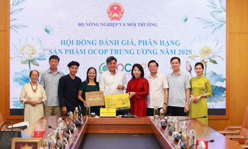 Giám đốc HTX Chè La Bằng: Chất lượng thật là chìa khóa OCOP 5 sao