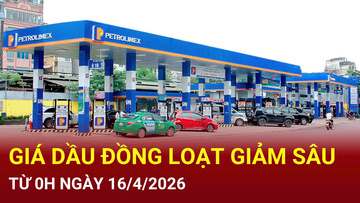 Giá dầu đồng loạt giảm sâu từ 0h00 ngày 16/4/2026