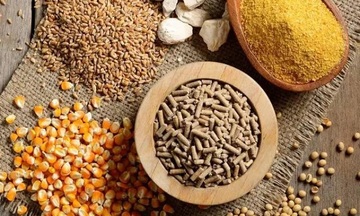 EU sửa đổi quy định liên quan đến thực phẩm và thức ăn chăn nuôi