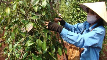 Chất lượng: Chìa khóa nâng tầm thương hiệu nông sản Việt