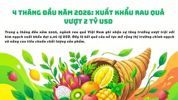 Infographic | 4 tháng năm 2026: Xuất khẩu rau quả vượt 2 tỷ USD