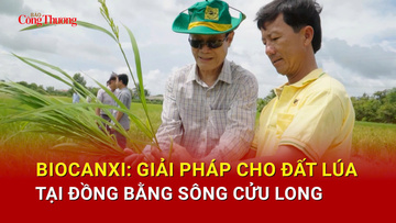  Biocanxi: Giải pháp cho đất lúa tại đồng bằng sông Cửu Long