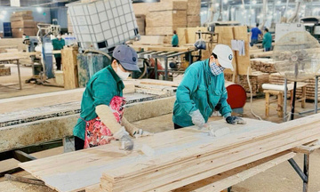 Gia Lai 'chọn mặt gửi vàng', kiến tạo lực lượng doanh nghiệp dẫn dắt