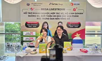 Thương mại điện tử: Cơ hội hay thách thức với doanh nghiệp Gia Lai?