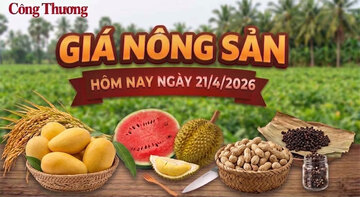 Giá nông sản hôm nay 21/4/2026: Nhiều mặt hàng có mức giá thấp