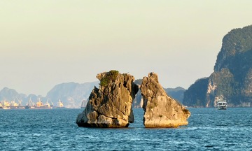 Phê duyệt nhiệm vụ lập quy hoạch bảo tồn, phát huy tiềm năng vịnh Hạ Long