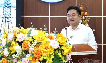 Tổng Biên tập Báo Công Thương: Đã đến lúc đánh thức nguồn năng lượng từ mặt trời