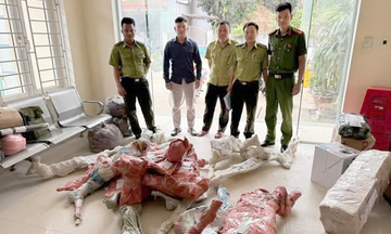 Thanh Hóa: Tạm giữ 15 phôi cây muội hồng không rõ nguồn gốc 