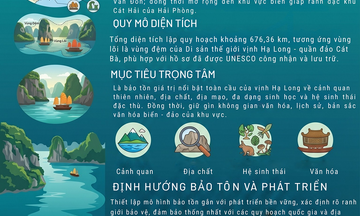 Phê duyệt nhiệm vụ lập quy hoạch bảo tồn, phát huy giá trị vịnh Hạ Long