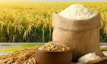 Philippines tiếp tục là thị trường tiêu thụ lớn nhất của gạo Việt Nam