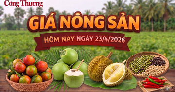 Giá nông sản hôm nay 23/4: Nhiều mặt hàng có xu hướng giảm mạnh