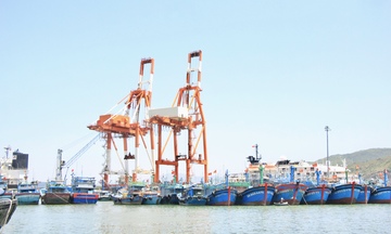 Gia Lai: Bảo vệ, tái tạo nguồn lợi thủy sản