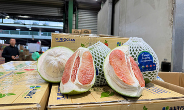 Thông quan lô bưởi tươi đầu tiên bằng đường hàng không vào Australia