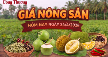 Giá nông sản hôm nay, ngày 24/4: Tăng, giảm trái chiều
