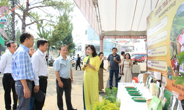 Gia Lai khai mạc không gian trải nghiệm cà phê đặc sản, sản phẩm OCOP